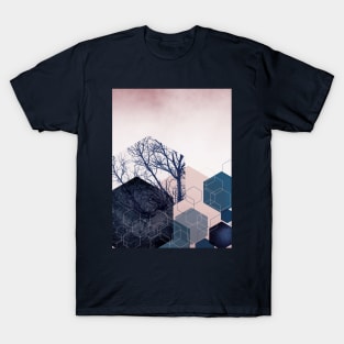 Hexagon Landscape Part 2 T-Shirt